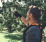 Sécateur à batterie ASA 140 – Stihl ASA140 – 45 mm – Machine seule – système AP – Image 4