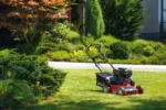 Scarificateur à essence MTD Optima 35vo – 137 cm³ – 2400 W – Image 2