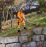 Tondeuse Debroussailleuse a Dos Thermique Stihl FR 460 Tc-em – Image 2