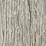 Abri en résine brossée monopente Brossium 4,7m² – Image 12