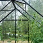 HALLS - Serre de jardin Universal 9.9 m² en verre 3 mm - Noir – Image 10
