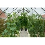 HALLS - Serre de jardin Universal 9.9 m² en verre trempé 3 mm - Vert – Image 5