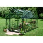 HALLS - Serre de jardin Magnum 9.9 m² verre 3 mm - Vert – Image 2