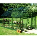 HALLS - Serre de jardin Magnum 9.9 m² en verre trempé 3 mm - Vert – Image 6